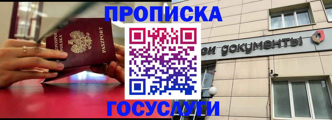 временная регистрация недорого в Камчатской области